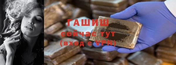 прущие грибы Богданович